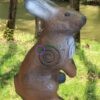 2D-Archery Target Face Rabbit