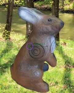 2D-Archery Target Face Rabbit