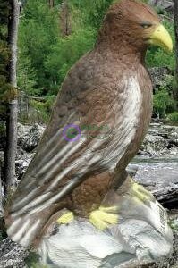 2D-Archery Target Face Sitting Golden Eagle