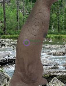 2D-Archery Target Face Standing Otter