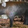 2D-Archery Target Face Young Wild Boar