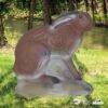 2D-Archery Target Face Sitting Hare