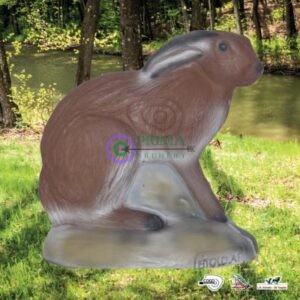 2D-Archery Target Face Sitting Hare