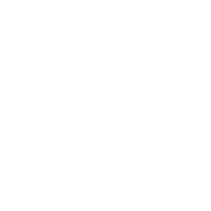 White line icon of a circular bullseye archery target