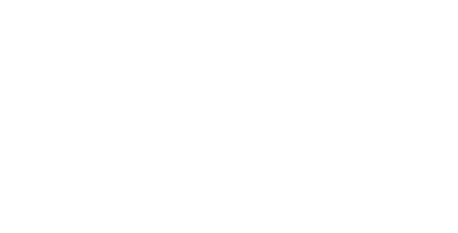 Prima Archery logo